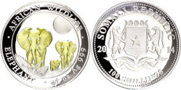 100 Shilling, 2014, Silber 999/1000 Vergoldet, 1 Oz (31,1g), African Wildlife Elefantenfamilie, Auflage 500... - Somalie