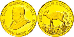 5 Golde, Gold, 1987, Zebraducker, Fb. 12, In Kapsel, PP.  PP5 Golde, Gold, 1987, Zebra Duiker, Fb. 12, In... - Sierra Leone