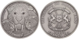 10000 Francs CFA, 1 KG Silber, 2013, Säbelzahntieger, , Auflage Nur 99 Stück, In Rahmen Aus Acrylglas,... - Burkina Faso