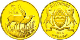 5 Pula, Gold,1986, Zwei Litschi-Moorantilopen, Auflage 5000 Stück,10g Aus 916er Gold, Sch.19, In Kapsel, PP. ... - Botswana