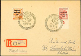 24 Pf. Mit Doppelaufdruck Und 60 Pf. Hell A. Portoger. R.-Brief Von Gößnitz Nach Schönebek, Rs.... - Autres & Non Classés