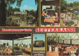 Ingelheim Am Rhein - Restaurant Café Seeterrasse - Ingelheim