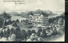 SWITZERLAND HOTEL KURHAUS HONEGG BÜRGENSTOCK 1911 VINTAGE POSTCARD - Egg