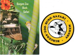 Arnhem Burgers´ Zoo Bush Safari Kaart + Sticker Carte +  Autocollant Reclame - Arnhem