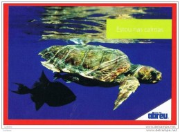 ADVERTISING POSTCARD Turtle Tortue Açores Azores PORTUGAL ( 2 Scans ) - Tortugas
