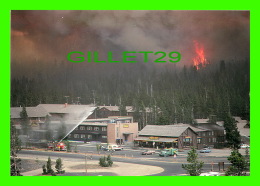 YELLOWSTONE, WY - NORTH FORK FIRE-OLD FAITHFUL 1988 - YELLOWSTONE NATIONAL PARK - PHOTO, JEFF HENRY - - Yellowstone