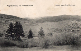 MAGELTALBLICK BEI GRENDELBRUCH  -  1909 - Schiltigheim