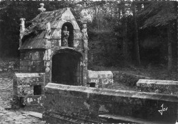 DAOULAS FONTAINE SACREE - Daoulas