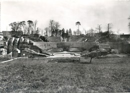 Augst - Römisches Theater, Gesamtansicht Vom Schönbühl          Ca. 1950 - Augst