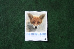 Vos Renard Fox Fuchs Persoonlijke Zegel NVPH 2751 2013 Gestempeld / USED / Oblitere NEDERLAND / NIEDERLANDE - Personalisierte Briefmarken