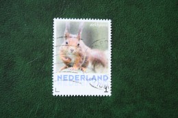 Eekhoorn écureuil Squirrel Persoonlijke Zegel NVPH 2751 2013 Gestempeld / USED / Oblitere NEDERLAND / NIEDERLANDE - Timbres Personnalisés