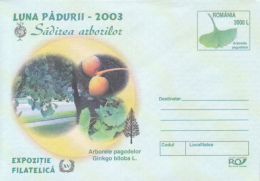 42173- GINKGO BILOBA TREE, COVER STATIONERY, 2003, ROMANIA - Bäume