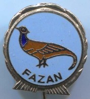 ARCHERY / SHOOTING, Hunter Jager Caccia - Fazan Pheasant, Hunting, Vintage Pin, Badge - Tir à L'Arc