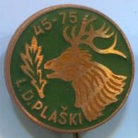 ARCHERY / SHOOTING, Hunter Jager Caccia - LD Plaski, Croatia, Hunting, Enamel, Vintage Pin, Badge - Tir à L'Arc