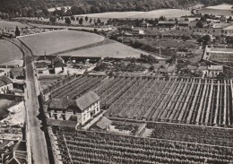 LOUVIERS - MAISON MIGNOT-BALLANT PRODUCTEURS - Vue Aérienne - Louviers