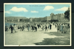 WALES  -  Llandudno  The Esplanade  Unused Vintage Postcard - Denbighshire