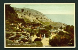 WALES  -  Llandudno  Rock Gardens  Happy Valley  Unused Vintage Postcard - Denbighshire