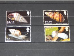 Montserrat - 2005 Shells MNH__(TH-10886) - Montserrat