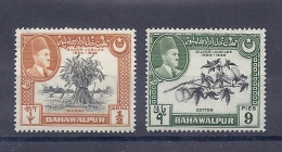 150025392  BAHAWULPUR  YVERT    Nº  19/20  */MH - Bahawalpur