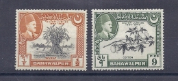 150025395  BAHAWULPUR  YVERT    Nº  19/20  */MH - Bahawalpur