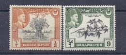 150025396  BAHAWULPUR  YVERT    Nº  19/20  */MH - Bahawalpur