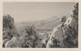 Jonsdorf - S/w Zittauer Gebirge 1 - Jonsdorf