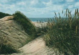 Juist -  Dünen Und Meer 2 - Juist