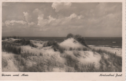 Juist -  S/w Dünen Am Meer - Juist