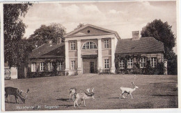 NEUSTRELITZ Mecklenburg Tiergarten Orangerie Gartenrestaurant 22.11.1934 Gelaufen - Neustrelitz