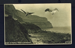 WALES  -  Llandudno  Great Orme's Head  Used Vintage Postcard As Scans - Denbighshire