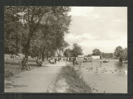 67b * MÜHLHAUSEN * NAHERHOLUNGSZENTRUM SCHWANENTEICH * PROMENADE AM TEICH  *!! - Muehlhausen