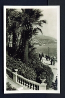 MONACO  -  Casino Terrace  Unused Postcard - Les Terrasses