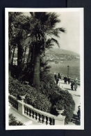 MONACO  -  Casino Terrace  Unused Postcard - Le Terrazze