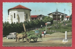 Bidart - Le Golf , L'Eglise Et La Mairie - Oldtimer Citroën 2CV Et 4 CV - 1962 ( Voir Verso ) - Bidart