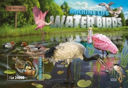 Sierra Leone. 2016 Water Birds. (308b) - Flamingo