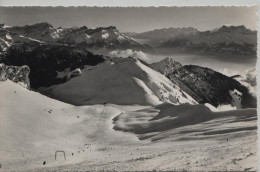 Leysin - Les Champs De Ski De Chaux De Mont Et De La Bernause Sur Leysin - La Chaux