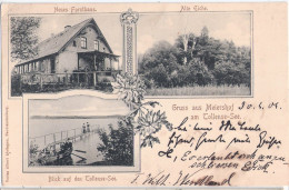 Gruss Aus Meiershof Forsthaus Am Tollensesee Neubrandenburg Gelaufen 2.5.1904 Mit Ortsstempel PENZLIN - Neubrandenburg