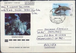 Cuba 1998 YT.3404 (DELFIN TURSIOPS TRUNCATUS). Santiago A La Paz. See Desc. - Covers & Documents