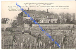 71 SAONE Et LOIRE Travaux Dans Les Vignes Au Chateau De CHEVIGNES Près De DAVAYE - Sonstige Gemeinden