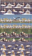 Romania 2015 PELICANS,MINISHEET + LABELS MNH **. - Pélicans