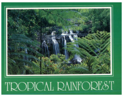 (393) Australia - QLD - Rainforest Waterfall - Far North Queensland