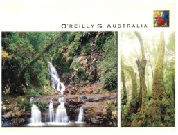 (393) Australia - QLD - O´Reilly´s - Atherton Tablelands