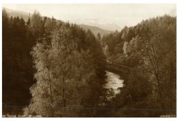 (830) Very Old Postcard - Carte Ancienne - UK - Forest Near Fort William - Trees