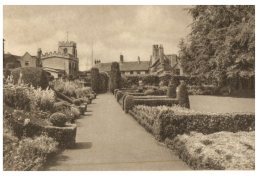 (830) Very Old Postcard - Carte Ancienne - UK - Startford Great Garden - Trees