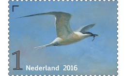 Nederland / The Netherlands - Postfris / MNH - Griend, Vogels Van Het Wad (1) 2016 - Ungebraucht