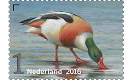 Nederland / The Netherlands - Postfris / MNH - Griend, Vogels Van Het Wad (2) 2016 - Ungebraucht