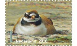 Nederland / The Netherlands - Postfris / MNH - Griend, Vogels Van Het Wad (4) 2016 - Ungebraucht