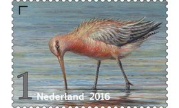 Nederland / The Netherlands - Postfris / MNH - Griend, Vogels Van Het Wad (7) 2016 - Nuevos