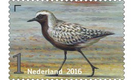 Nederland / The Netherlands - Postfris / MNH - Griend, Vogels Van Het Wad (8) 2016 - Ungebraucht