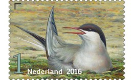 Nederland / The Netherlands - Postfris / MNH - Griend, Vogels Van Het Wad (9) 2016 - Nuevos